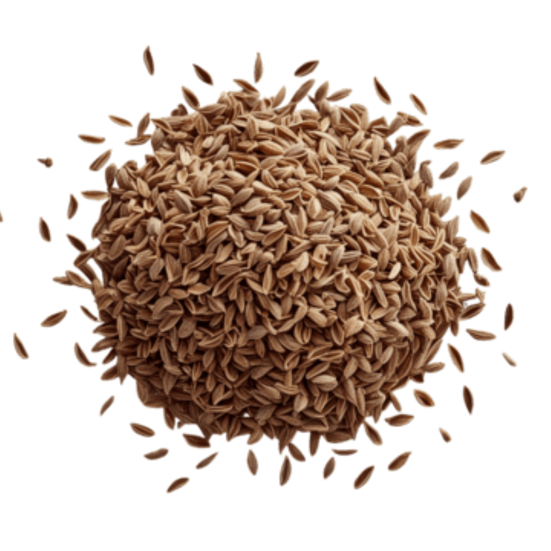 NATURES OWN CUMIN SEEDS 500G